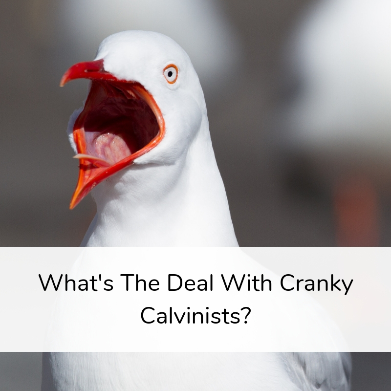 What's The Deal With Cranky Calvinists
