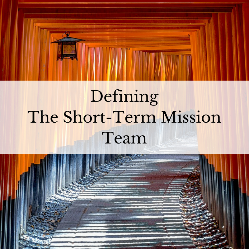 Defining The Short-Term Mission Team