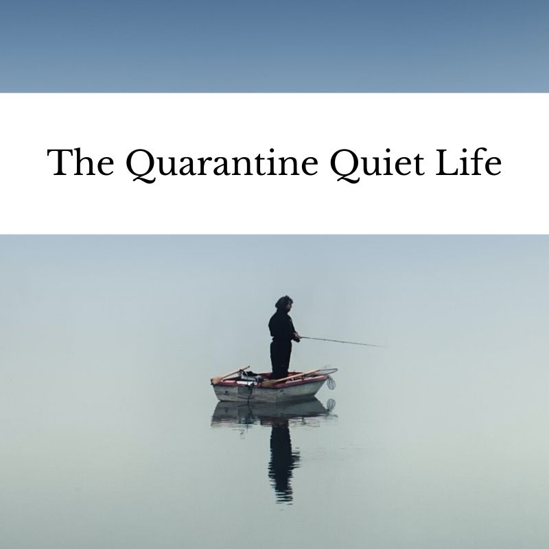 The Quarantine Quiet Life